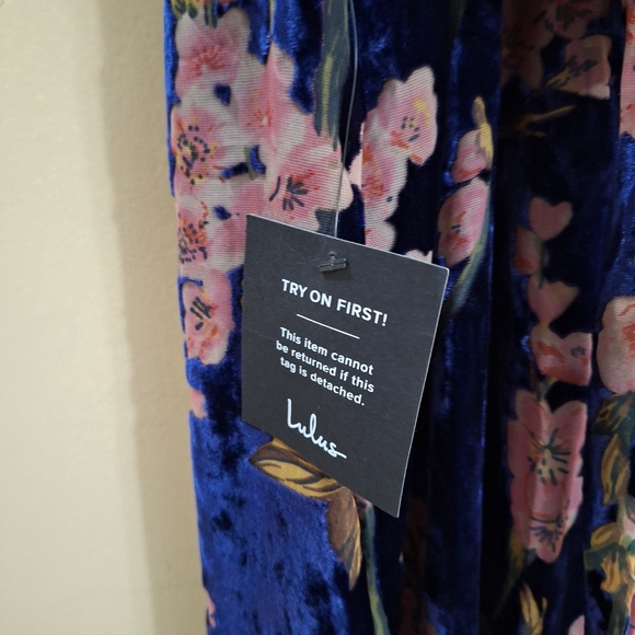 Lulu´s Whimsygoth Romantic Stunner Floral Burnout Velvet Lace-Up Dress - Picture 15 of 16